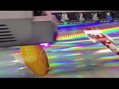 Εικονοδιαλύτης/υαλοειδές εκτυπώσιμο ολόγραμμα βινύλιου